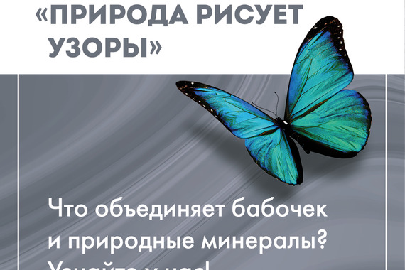 Выставка бабочек «Природа рисует узоры"